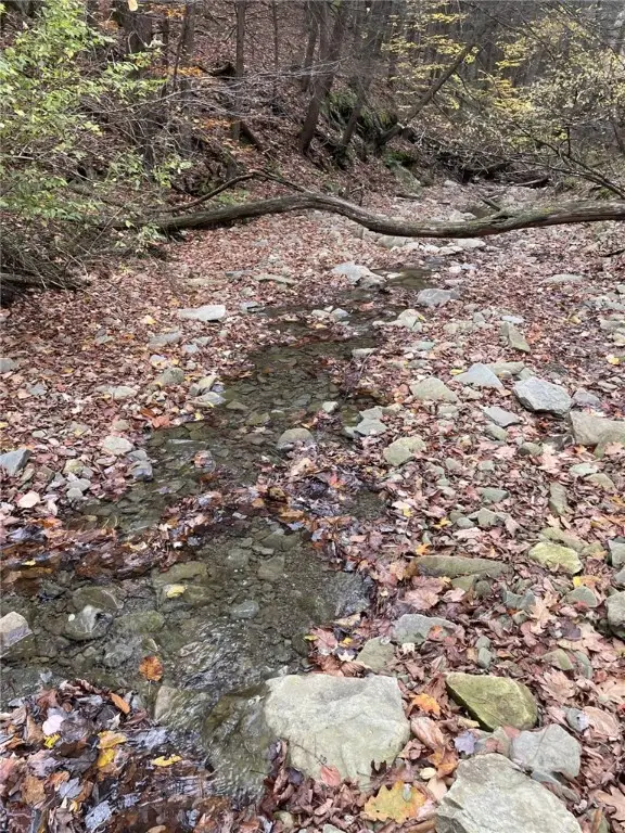 0 Parker Road, Campbell, NY 14821 - Image #2