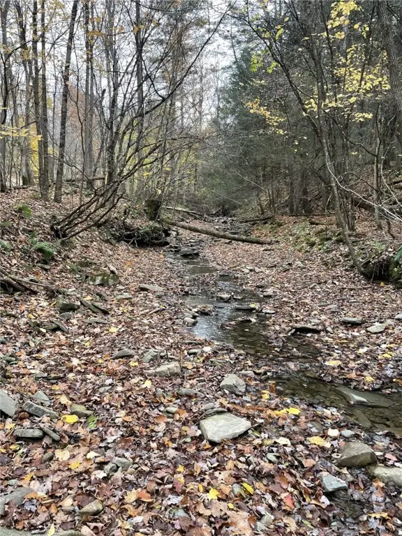 0 Parker Road, Campbell, NY 14821 - Image #3