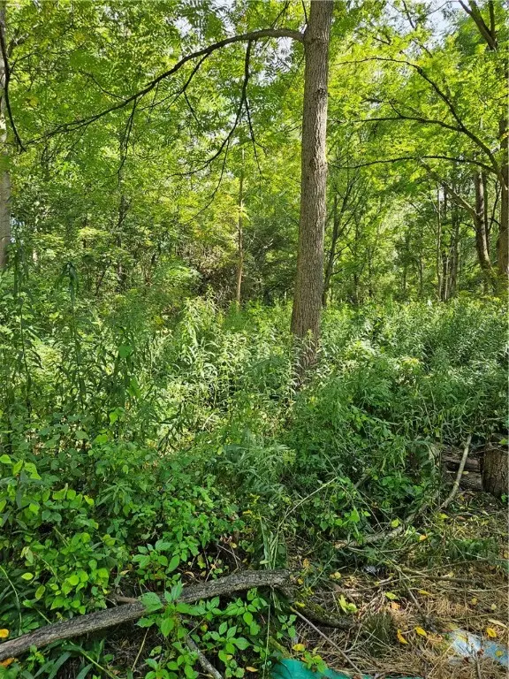 0 Lyons Marengo Road, Clyde, NY 14433 - Image #1