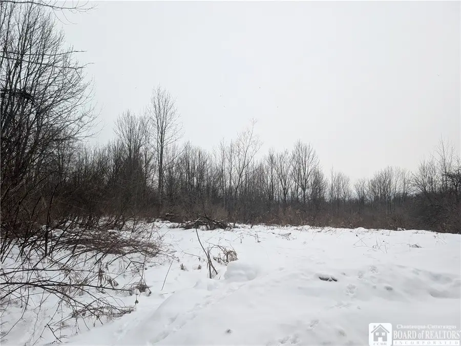 0 Condin Road N, Ellery, NY 14757 - Image #3