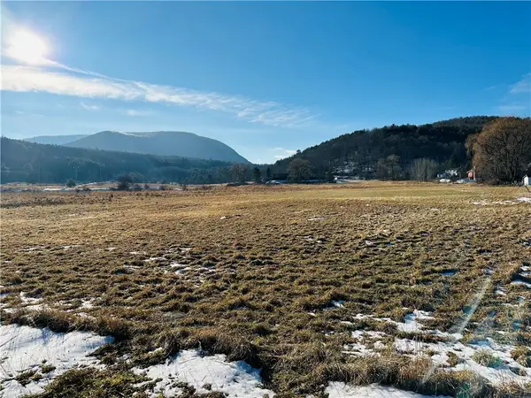 171 Cronk Lane, Roxbury, NY 12434