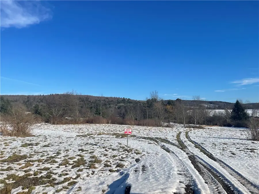 Houck Drive, Bainbridge, NY 13733 - Image #2