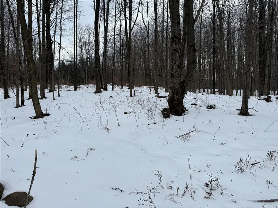 16 Deer Pond, Warsaw, NY 14569 - Image #3