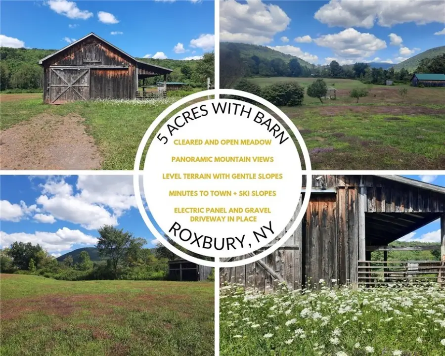 TBD County Route 41 Road, Roxbury, NY 12474 - Image #2