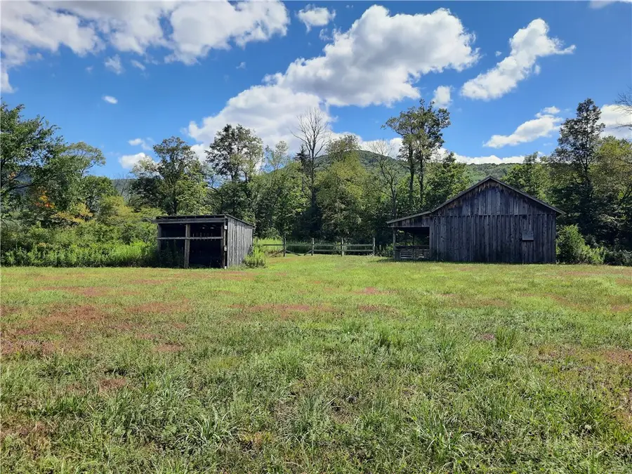 TBD County Route 41 Road, Roxbury, NY 12474 - Image #3