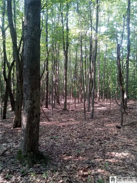 Chautauqua Rd, Portland, NY 14063