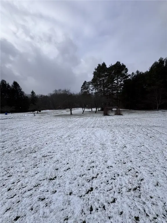 3401 Route 446, Eldred, PA 16731 - Image #2