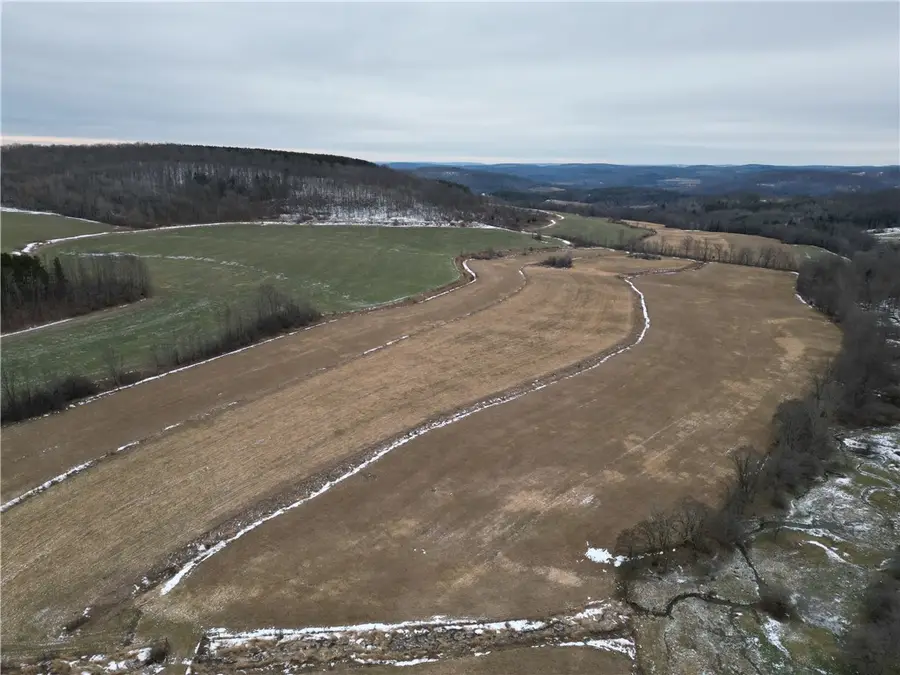 1300 County Route 82, Troupsburg, NY 14885 - #2