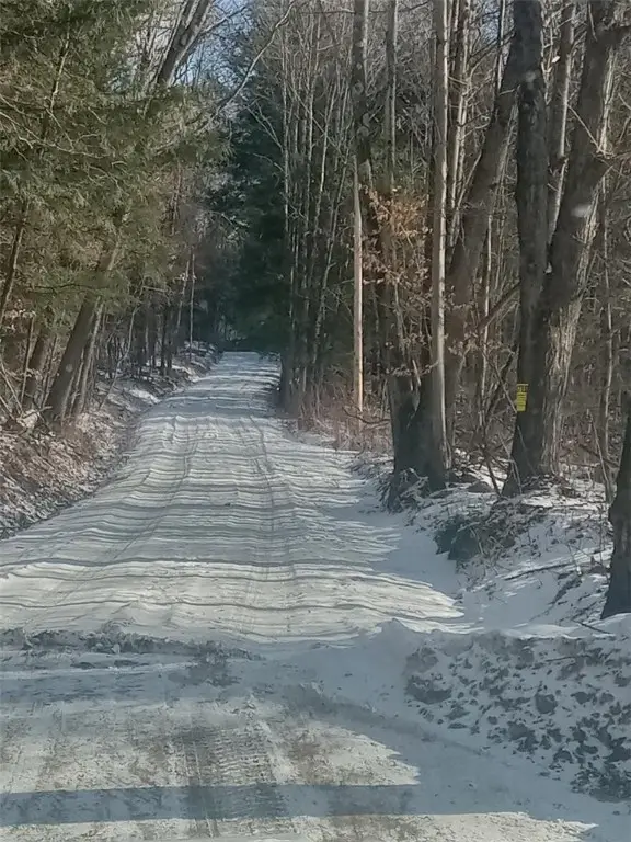 Burdick Hill Road, Otego, NY 13825 - Image #1