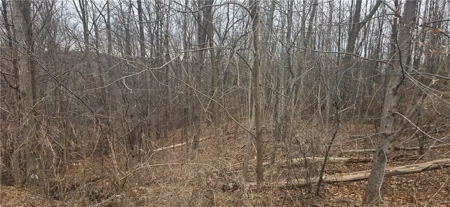 Cr-32 Road, Canandaigua, NY 14424 - #3