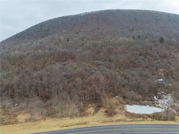 0 W Hollow Road, Naples, NY 14512