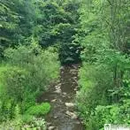 001 Lot B Bowen Road, Randolph, NY 14772