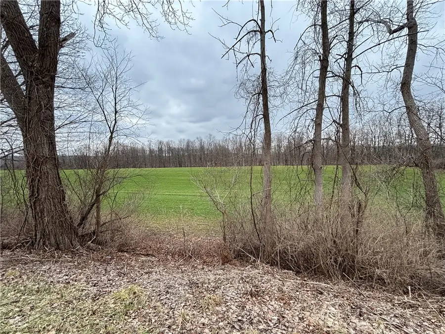 Lyon Rd, Palmyra Town, NY 14522 - Image #2