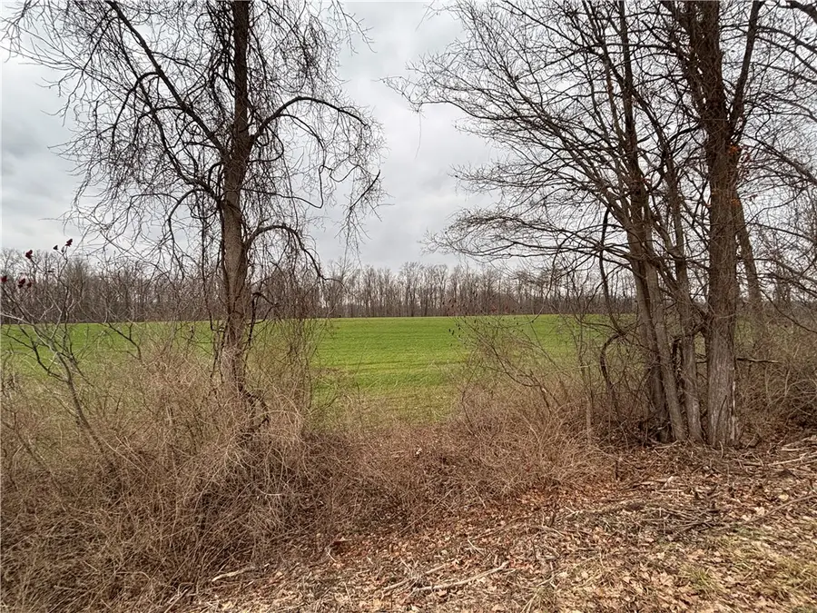 Lyon Rd, Palmyra Town, NY 14522 - Image #3