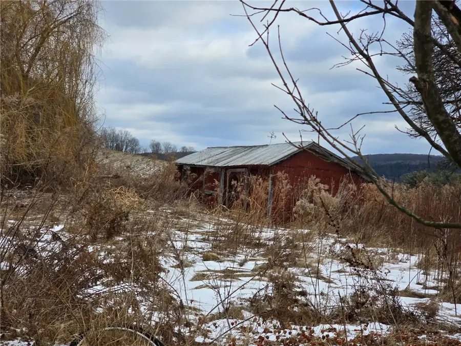 4350 Waterbury Hill Road, Avoca, NY 14809 - Image #3