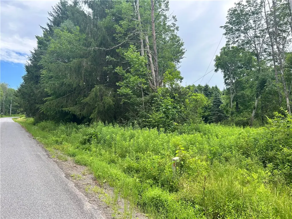 Lot 4 Sisson Hill Road, Unadilla, NY 13849 - Image #1