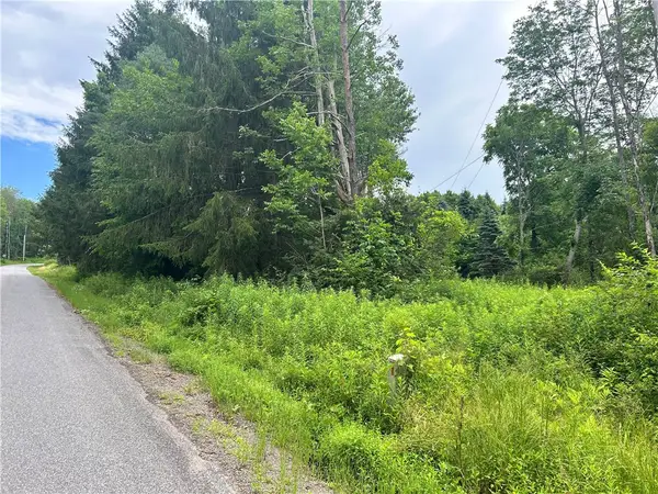 Lot 4 Sisson Hill Road, Unadilla, NY 13849