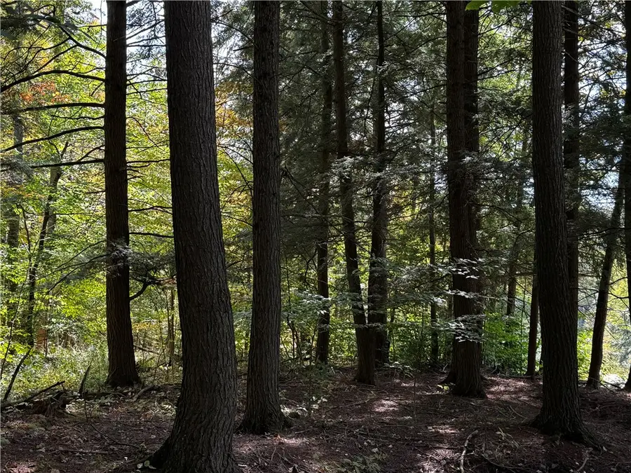 Lot 11 Sisson Hill Road, Unadilla, NY 13849 - Image #3