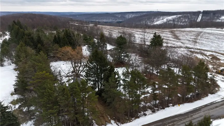 6616 Bennett Road, Franklinville, NY 14737 - Image #2