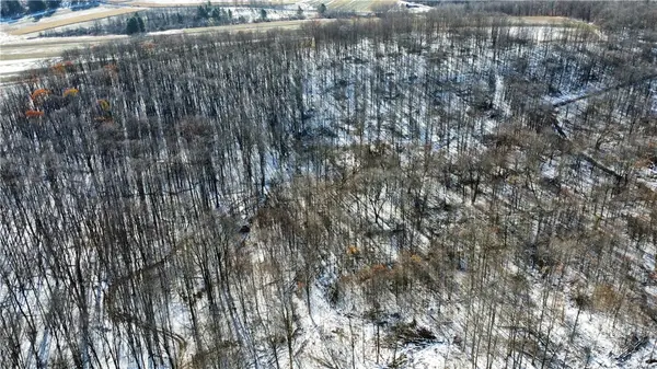 443 South Branch Rd, Coudersport, PA 16915