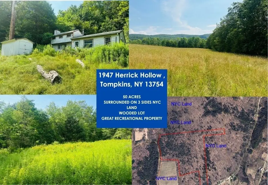1947 Herrick Hollow Road, Sidney Center, NY 13804 - Image #1