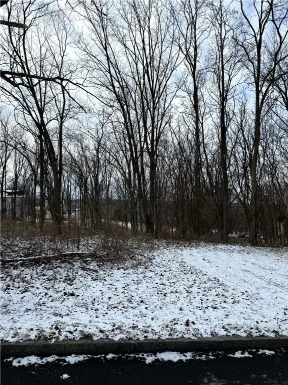 616 Hudson Street, Ithaca, NY 14850 - Image #3