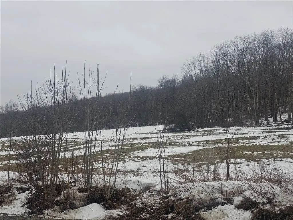 Thornton Road, Cherry Creek, NY 14723 - Image #1