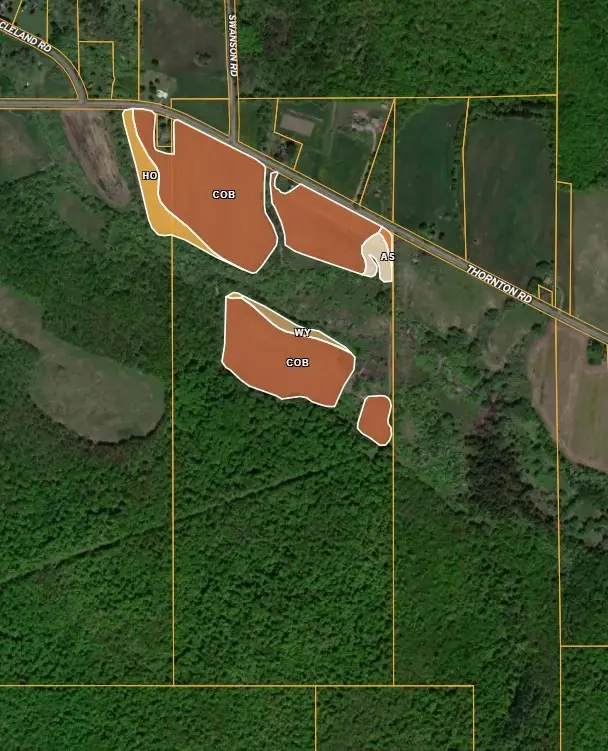 Thornton Road, Cherry Creek, NY 14723 - Image #3