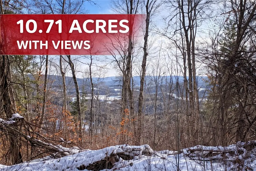 15 Silver Mine Road, North Blenheim, NY 12131 - #1