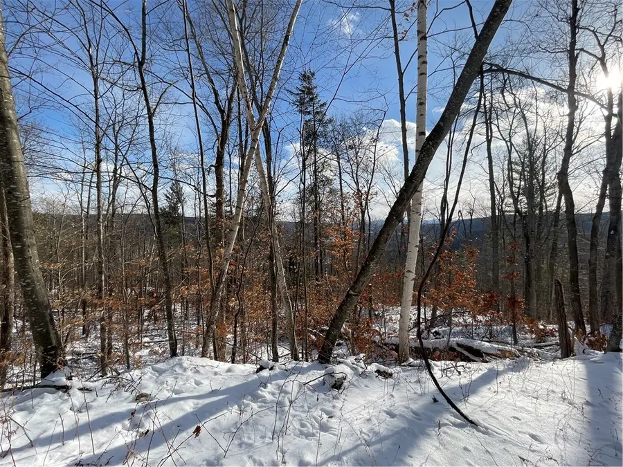 15 Silver Mine Road, North Blenheim, NY 12131 - #3