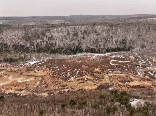 00 Halsey Valley Rd, Spencer, NY 14883