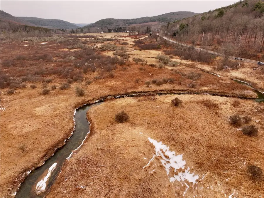 00 Halsey Valley Rd, Spencer, NY 14883 - Image #2