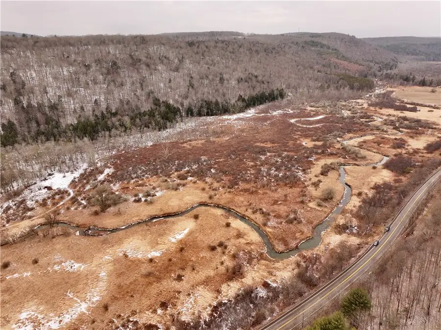 00 Halsey Valley Rd, Spencer, NY 14883 - Image #3