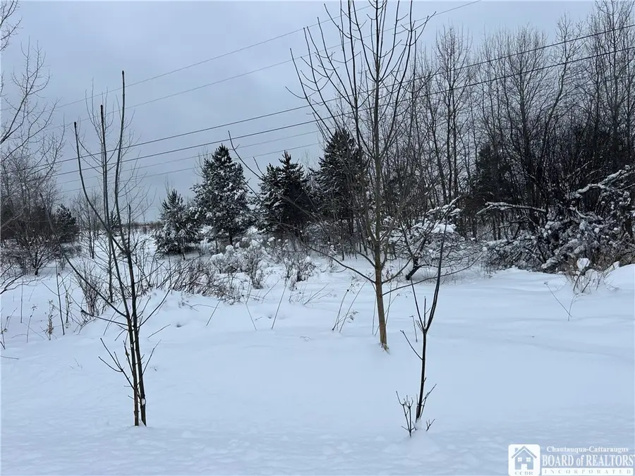 Pekin Road, Findley Lake, NY 14736 - #2