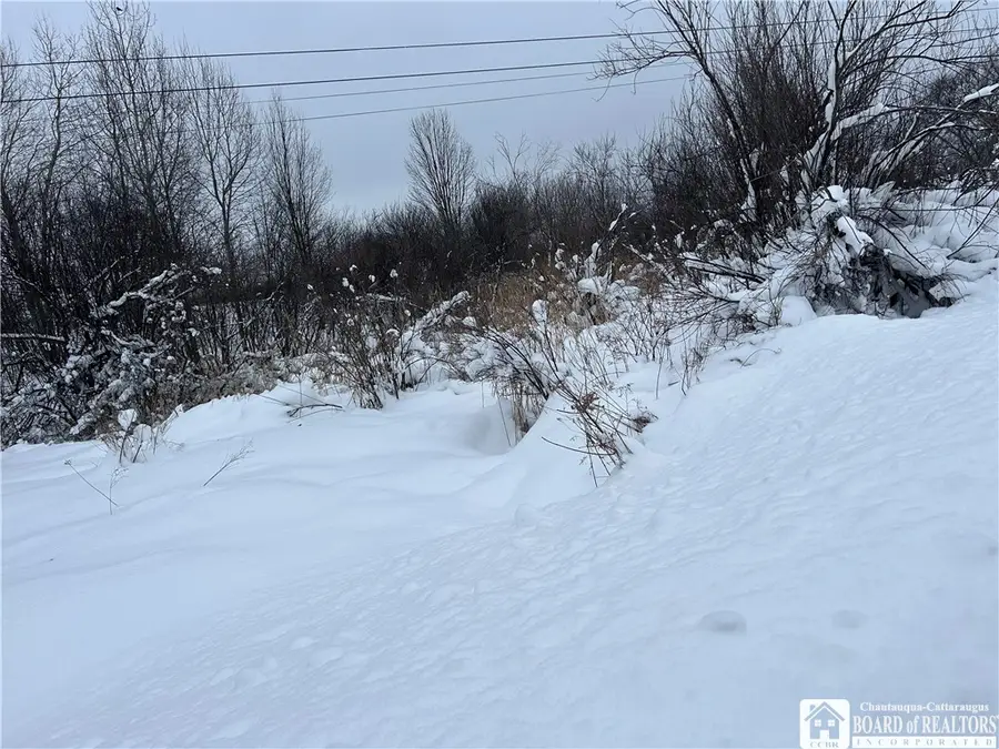 Pekin Road, Findley Lake, NY 14736 - #3