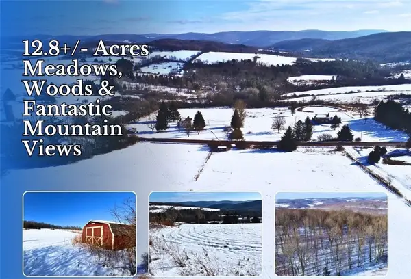 Lot 41-42 Hamden Hill Road, Hamden, NY 13782