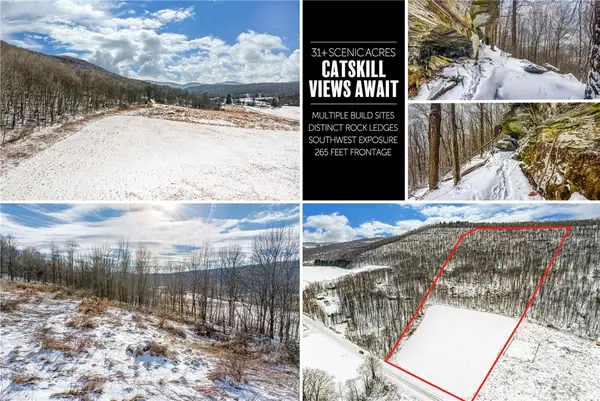 Betty Brook Road, South Kortright, NY 13842