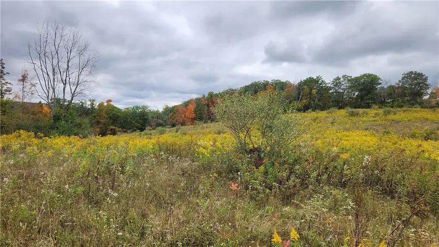 Hanyon Road, Canisteo, NY 14823 - #2