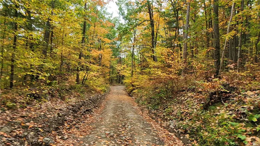 Hanyon Road, Canisteo, NY 14823 - #3