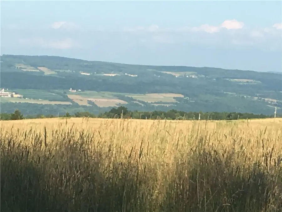 Van Dyke Road, Watkins Glen, NY 14891 - #2