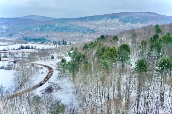 Quail Ridge Road, Margaretville, NY 12455