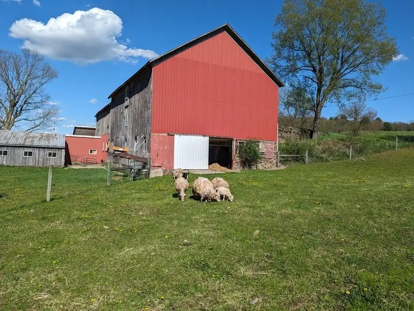 2617 County Road 32, Oxford, NY 13830 - Image #3