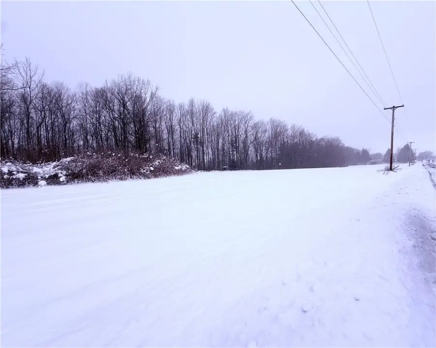 Pennycook Road, Hunt, NY 14846 - #2