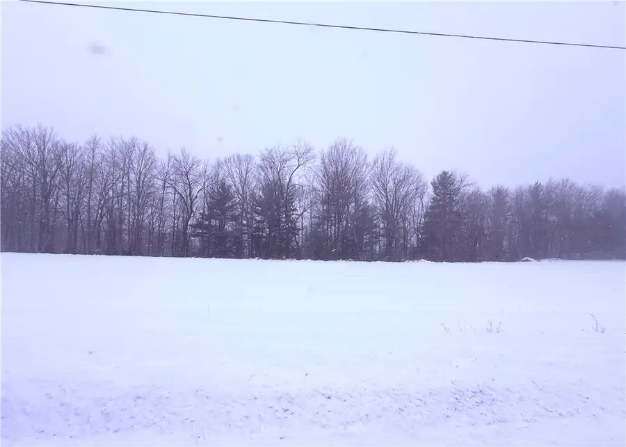 Pennycook Road, Hunt, NY 14846 - #3