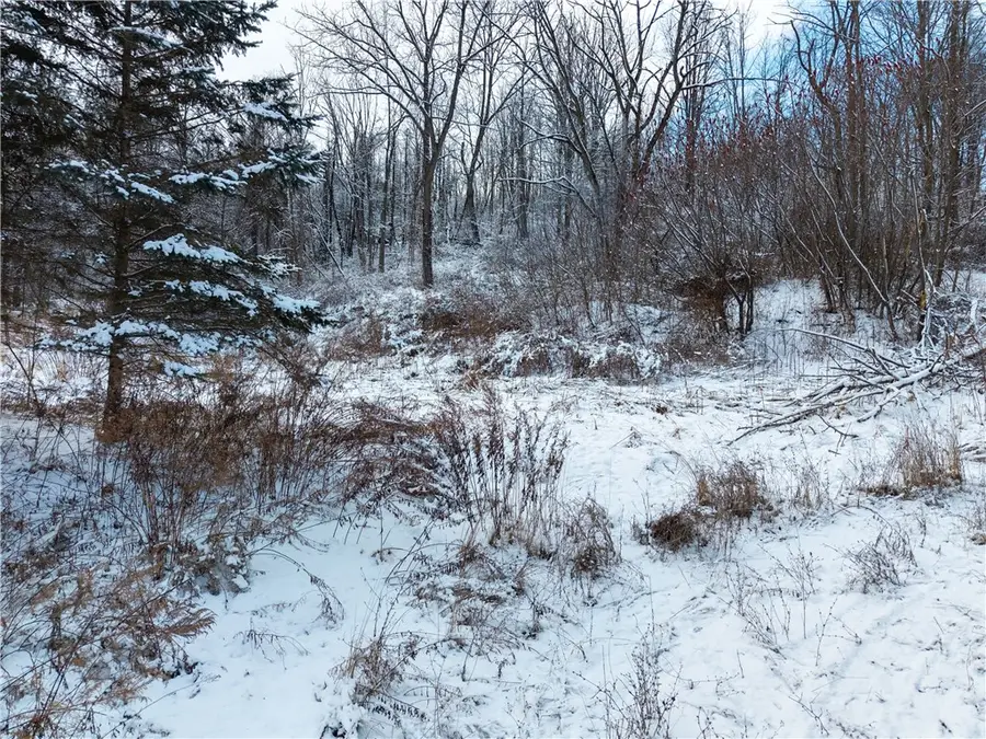 Sheldon Road, Palmyra, NY 14522 - Image #2