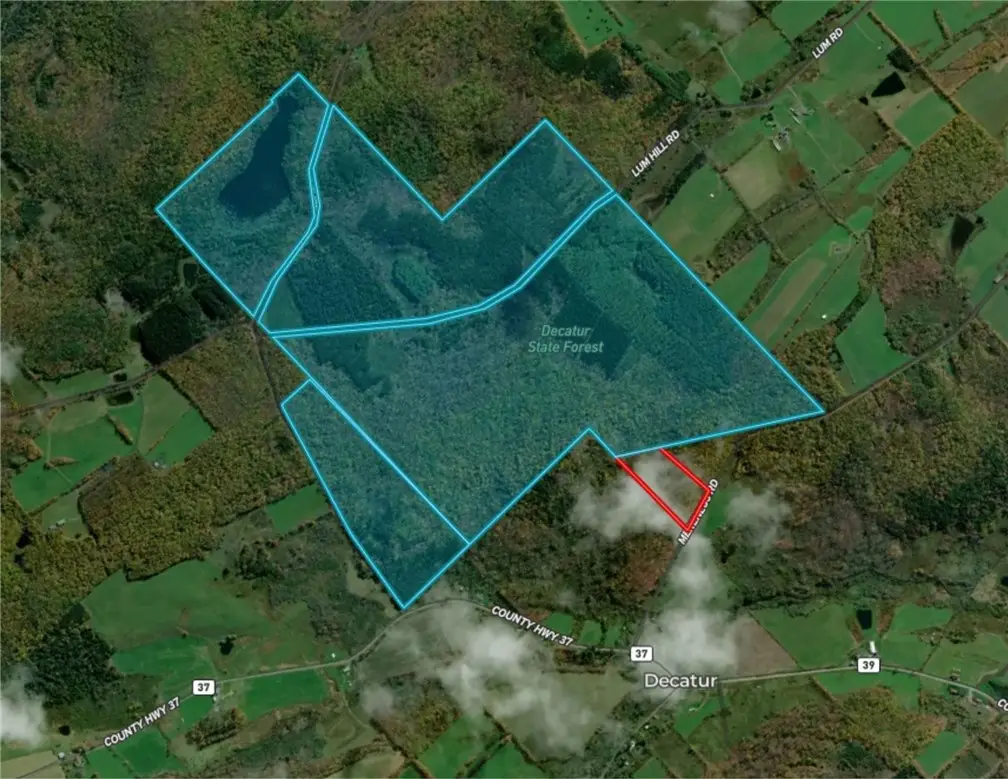 Mereness Road, Worcester, NY 12197 - #1