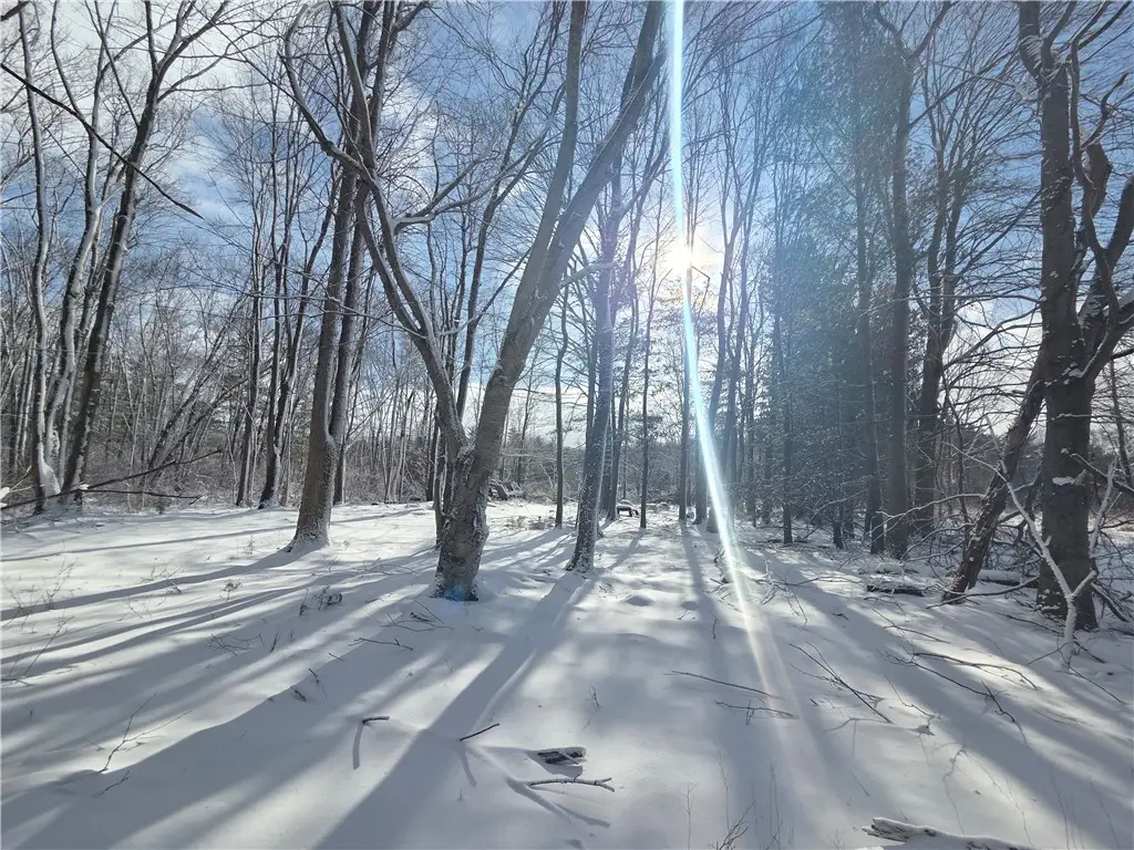 10720 Duck Lake Road, Conquest, NY 13143 - Image #1