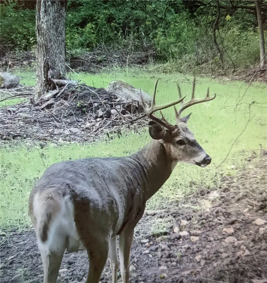 10720 Duck Lake Road, Conquest, NY 13143 - Image #2