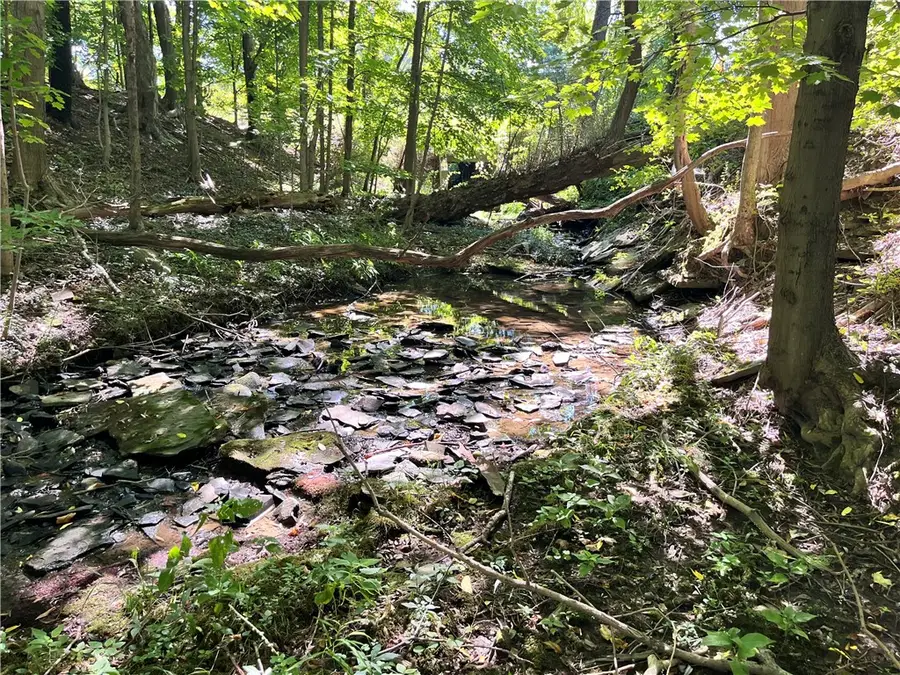 Highland Avenue, Portland, NY 14769 - Image #3