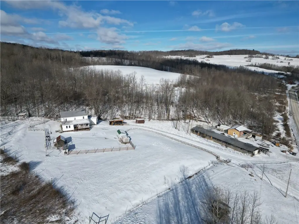 3533 County Route 82, Troupsburg, NY 14885 - #1